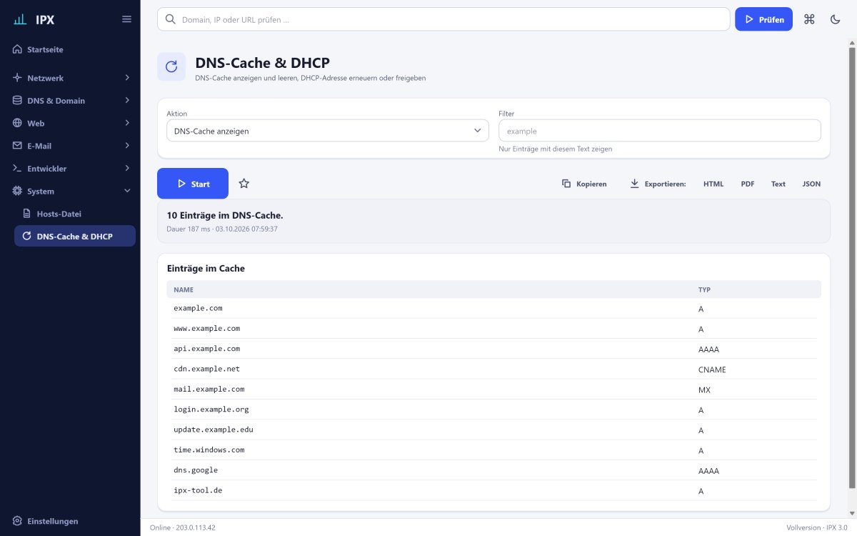 IPX: DNS-Cache & DHCP – DNS-Cache anzeigen und leeren, DHCP-Adresse erneuern oder freigeben.
